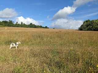 Lullingstone Country Park