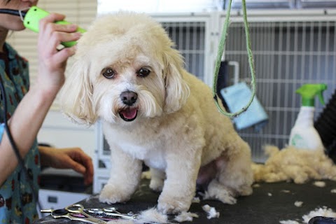 Waggs Professional Dog Grooming