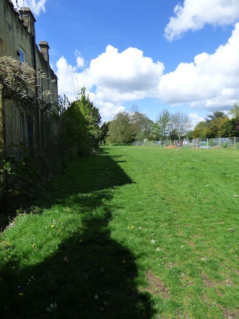 Hawthorn Grove public space