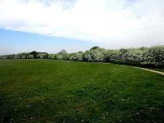 Vale View Recreation Ground