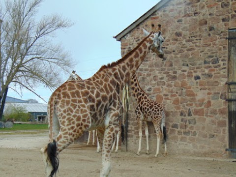 Zoo Main Entrance