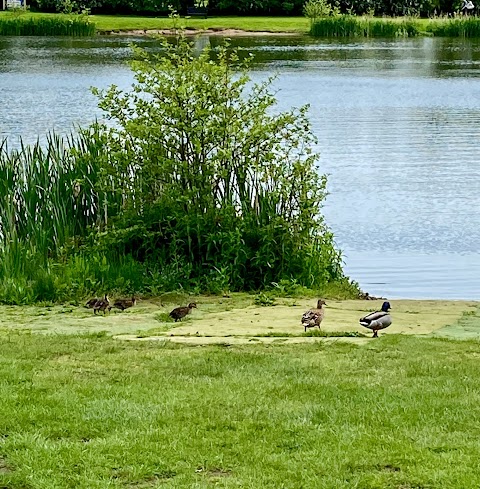 Alderford Lake