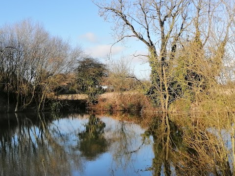 Rectory Farm Campsite and fishery