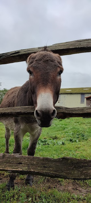 Mile Oak Farm