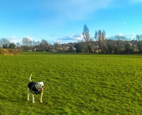 Children's Play Area - Duck Pond Lane Park