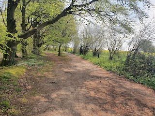 Beacon Hill National Nature Reserve