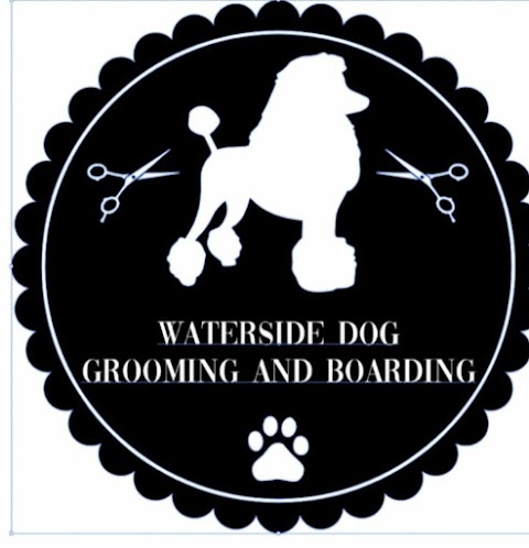 Waterside dog grooming and home boarding