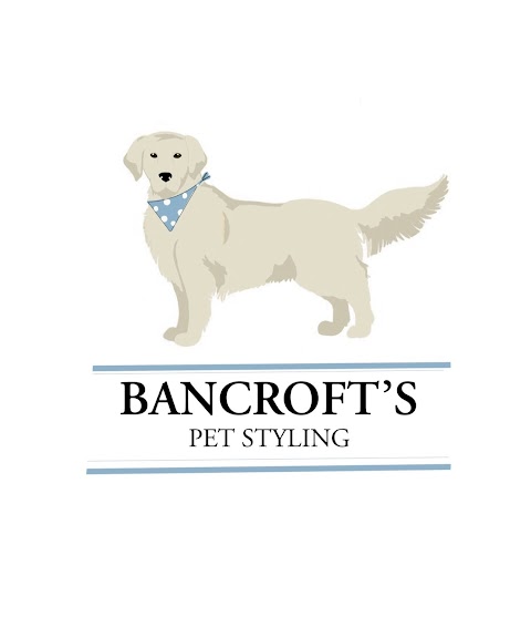 Bancroft's Pet Styling