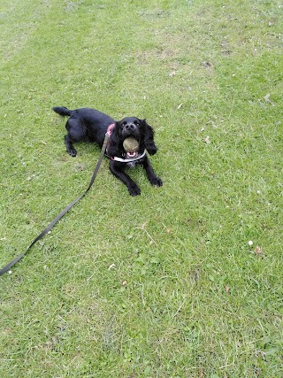 MyWaggyTails Chorley