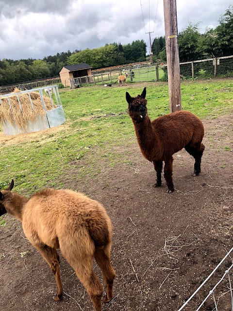 Matlock Farm Park