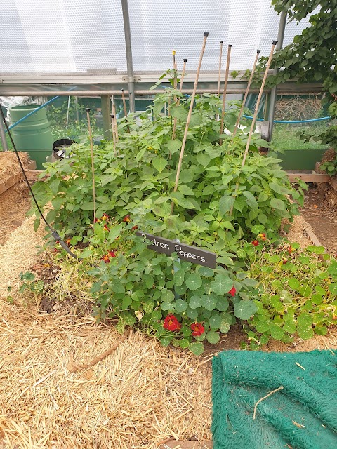 Arkwright Meadows Community Gardens