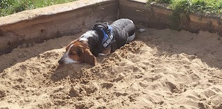 Walkies Secure Dog Paddock