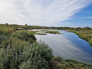 WWT London Wetland Centre