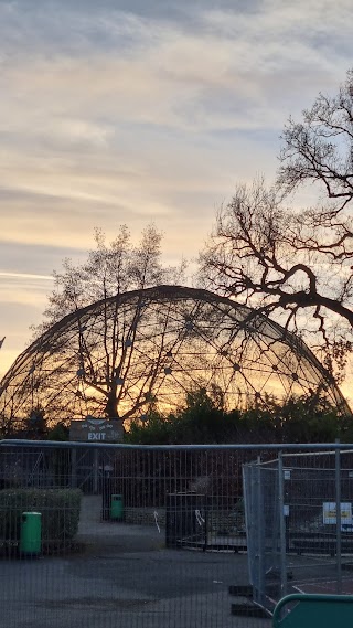 Woolloomooloo Aviary