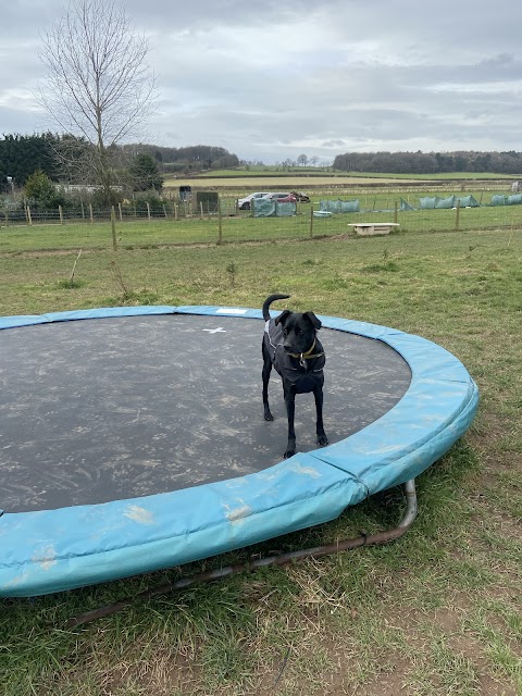 Bluerose Dog Park