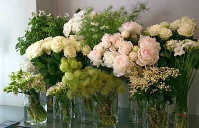 Joannes Florist - Winchester Florists