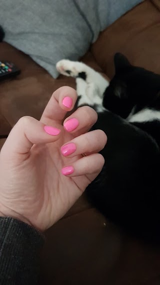 Classy Claws Nails & Training