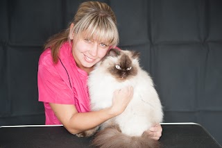 Cat Grooming School Ltd, London UK