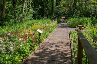 Fairhaven Woodland & Water Garden