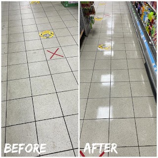 CytoPlanet Carpet & Floor Cleaning