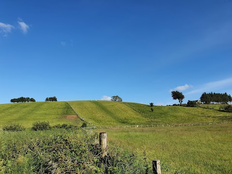 Dams to Darnley Country Park