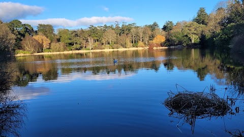 National Trust - Mount Stewart