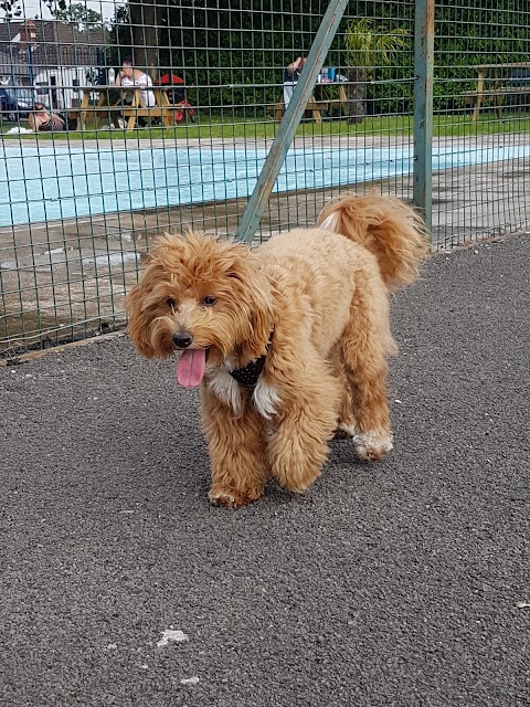 Testwood Paddling Pool