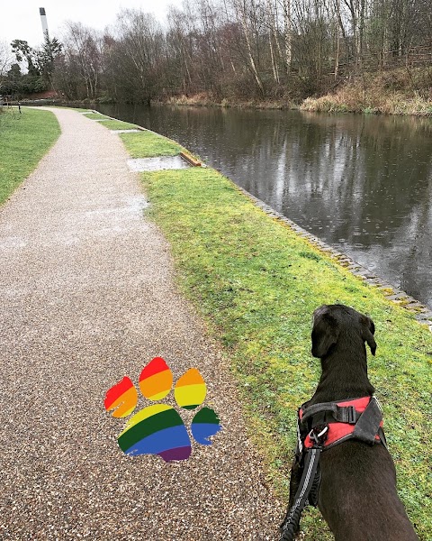 Rainbow Paws - Dog Walking & Pet Services