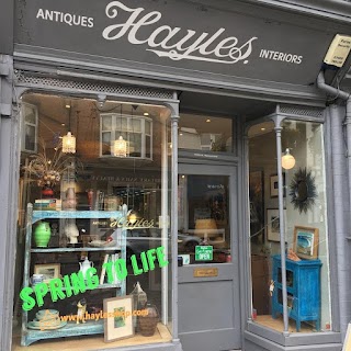 Hayles Art & Interiors