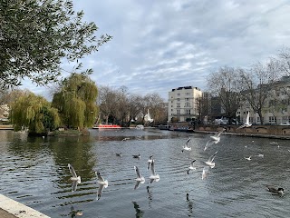 Locus Psychotherapy in Maida Vale