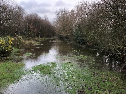 Hamble Common