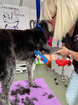 Arthur's Dog Grooming