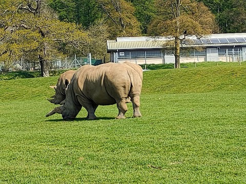 Woburn Safari Park