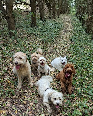 West Essex Dog Walking Service