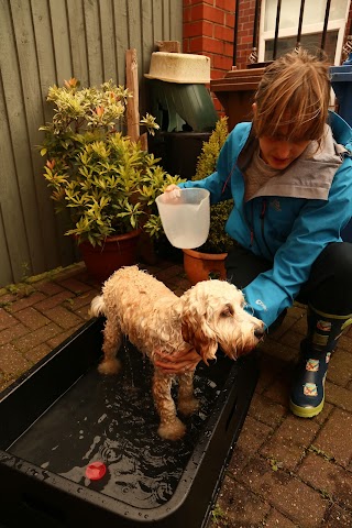 Jack and Jane Dog Grooming