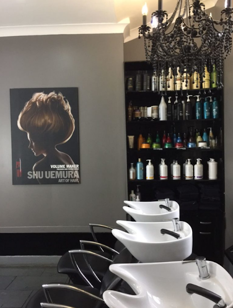 Darren Scott Salon