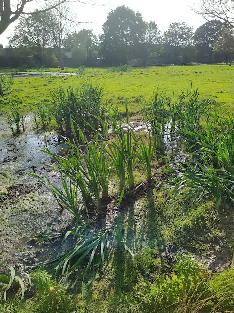 Ainslie Recreation Ground