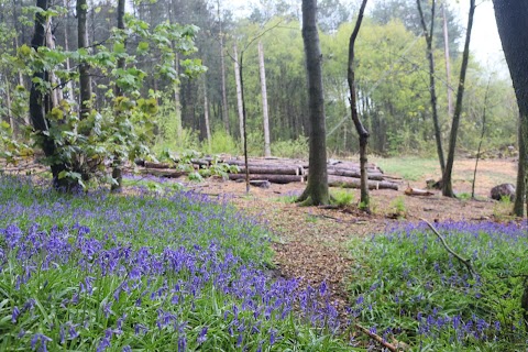 Bathpool Park