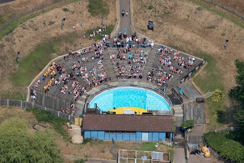 Sea Lion Show