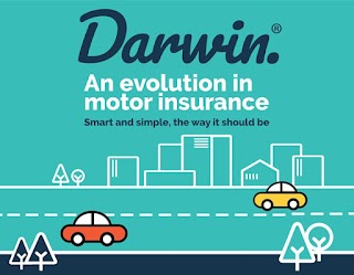 Darwin Insurance