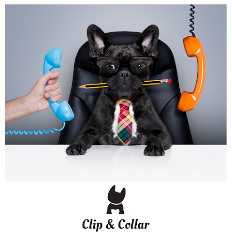 Clip & Collar Dog Groomers