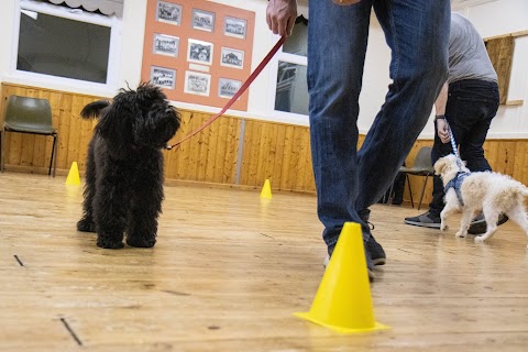 Build A Bond Dog Training and Walking