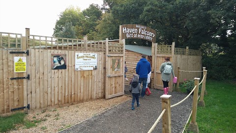 Haven Falconry Bird of Prey Centre