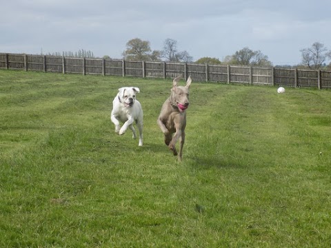 Highwood Boarding Kennels