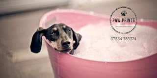 Paw Prints Dog Grooming Studio