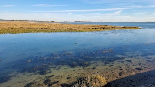 Farlington Marshes Nature Reserve