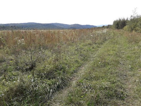 Заповідне урочище Семегинів