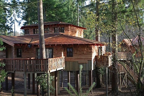 The Treehouses