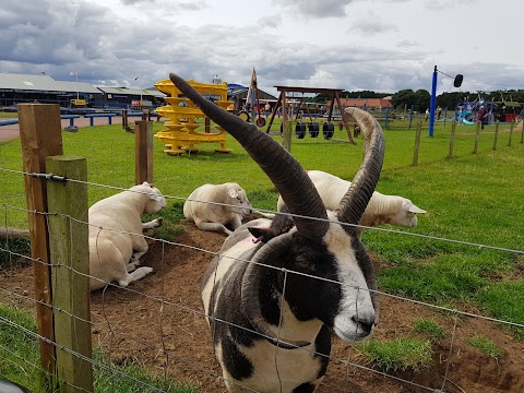 East Links Family Park