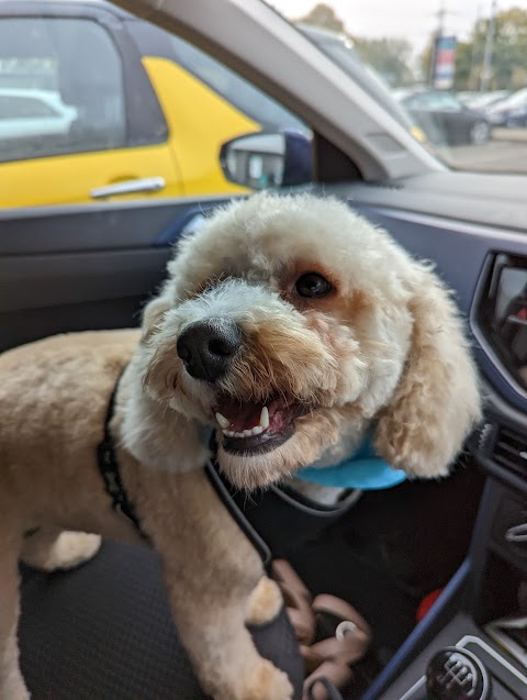 Pets at Home Newport